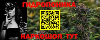 шишки Рыбинск