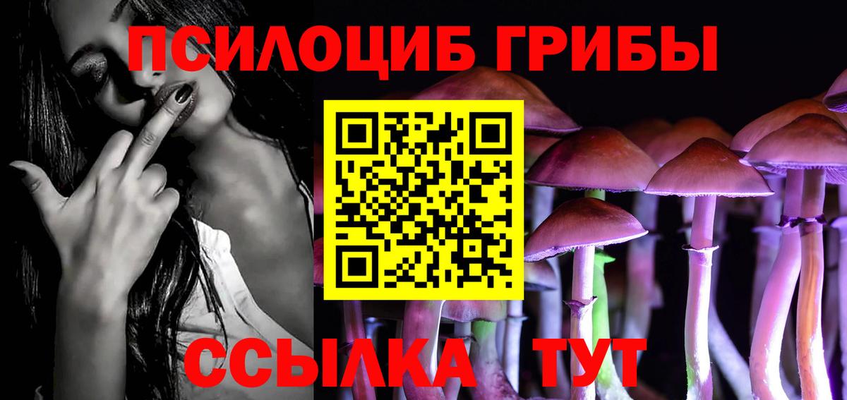 Россошь  Галлюциногенные грибы прущие грибы  Вход с VPN  Псилоцибиновые грибы мухоморы 